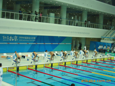 【标准池用海豚3002ACE泳池池底智能吸尘器】价格,厂家,图片,游泳池循环净化装置,武汉塔士德泳池设备-